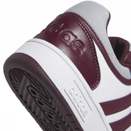 HOOPS 3.0