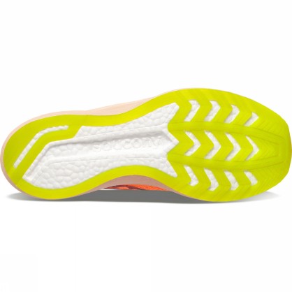 ENDORPHIN SPEED 2