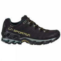 Ultra Raptor II Leather Wide GTX