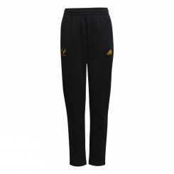 MESSI TAPERED PANT