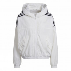 WINDBREAKER