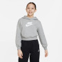 SPORTSWEAR CLUB FLEECE