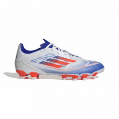 F50 LEAGUE MG